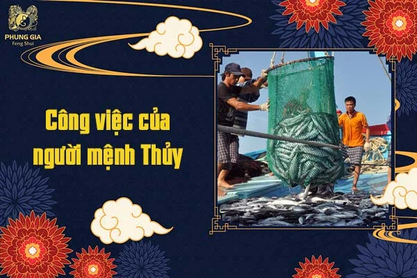 Công việc của người mệnh Thủy