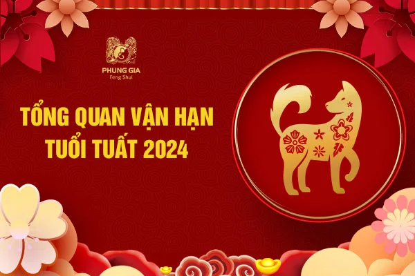 Tổng quan lá số vận hạn tuổi Tuất 2024