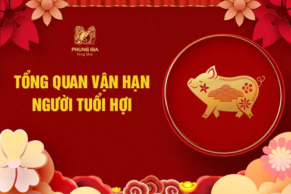 Tổng quan lá số vận hạn tuổi Hợi