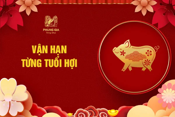 Vận hạn từng tuổi Hợi