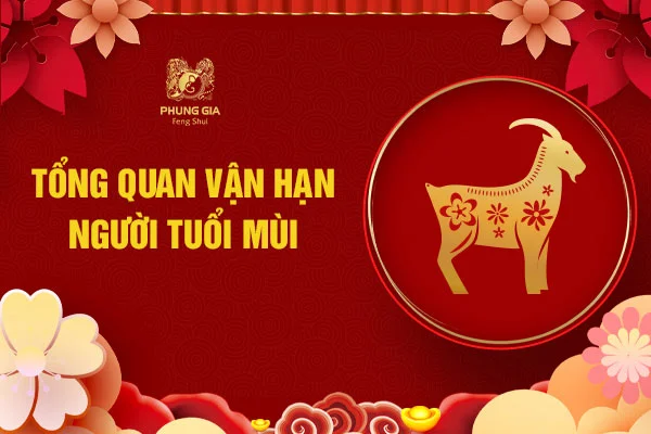 Tổng quan lá số vận hạn tuổi Mùi 2024
