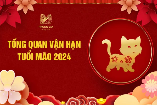 Tổng quan lá số vận hạn tuổi Mão 2024