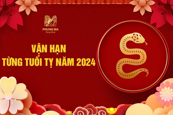 Vận hạn từng tuổi Tỵ