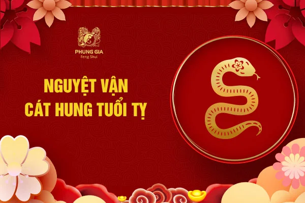 Nguyệt vận cát hung tuổi Tỵ