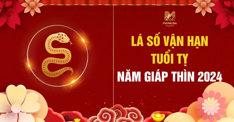 Lá Số Vận Hạn Tuổi Tỵ 2024 - Năm Giáp Thìn